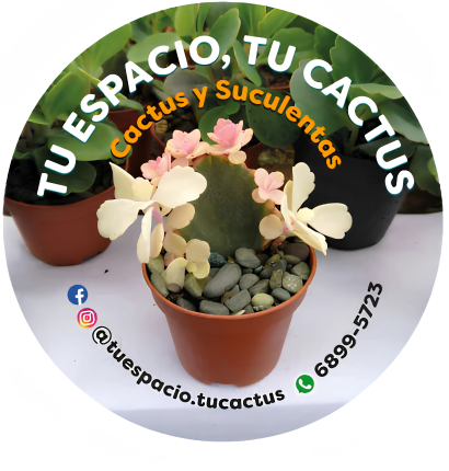 Tu Espacio tu Cactus Logo